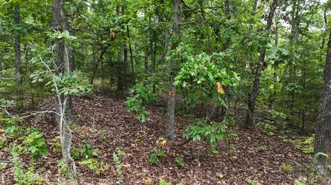 14058 County Road 416, Ava, MO 65608 photo 31
