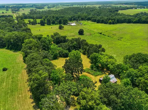 View/Area - 9169 County Road 483, Birch Tree, MO 65438 photo 10 of 10