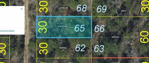 lot65 Gumbo Woods, Shell Knob, MO 65747 photo 2