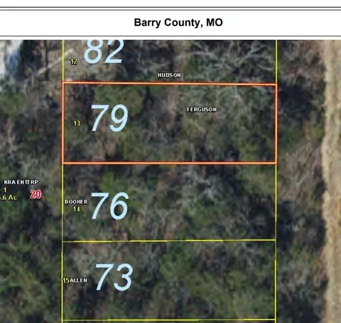 lot79 Gumbo Woods, Shell Knob, MO 65747 photo 2