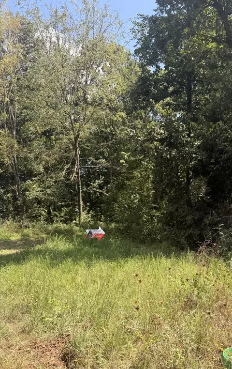 000 Buford Rd, Noel, MO 64854 photo 2