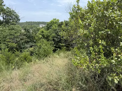 121 Gemstone Dr, Branson West, MO 65737 photo 3