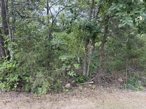 5 Silver Oak Way, Branson West, MO 65737 photo 5