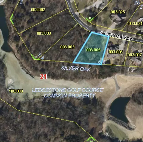 5 Silver Oak Way, Branson West, MO 65737 photo 3