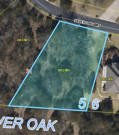 5 Silver Oak Way, Branson West, MO 65737 photo 2