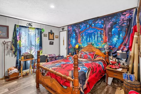 Bedroom - 1274 E Dade 14, Aldrich, MO 65601 photo 4 of 6