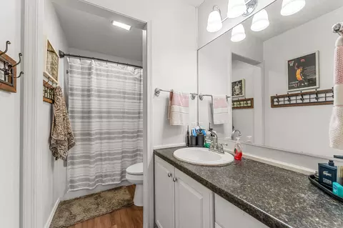 Bath - 481 Sunny Brook Dr, Branson, MO 65616 photo 4 of 4