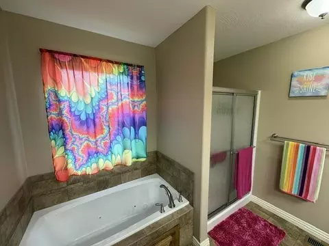 Bath - 1103 Chicory Ln, Aurora, MO 65605 photo 3 of 3