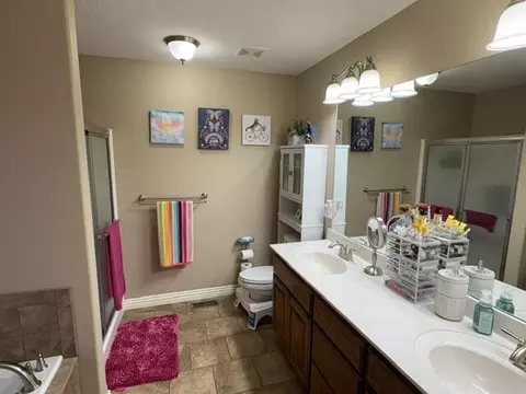 Bath - 1103 Chicory Ln, Aurora, MO 65605 photo 2 of 3
