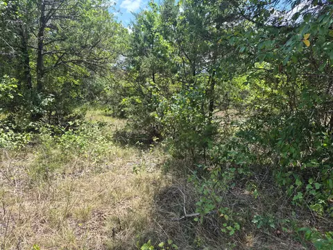 000 Shady Ln, Protem, MO 65733 photo 3