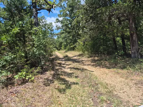 000 Shady Ln, Protem, MO 65733 photo 2