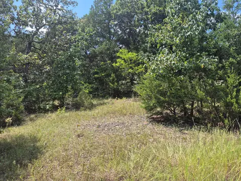 000 Shady Ln, Protem, MO 65733 photo 4