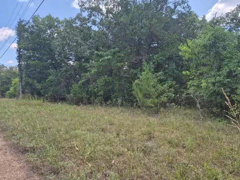 000 Deer Run Ave, Protem, MO 65733 photo 2