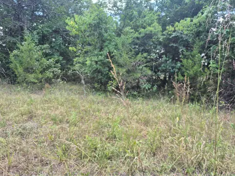 000 Deer Run Ave, Protem, MO 65733 photo 1