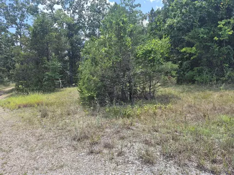 000 Deer Run Ave, Protem, MO 65733 photo 3