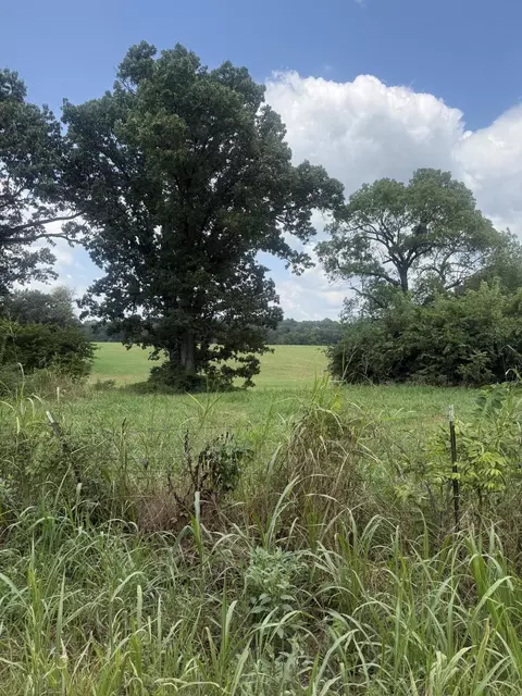 000 Sorrell Rd #000, Stella, MO 64867 photo 3