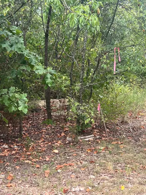 000 Chalet Ln, Eagle Rock, MO 65641 photo 5