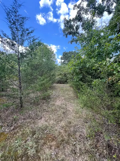 000 Chalet Ln, Eagle Rock, MO 65641 photo 3