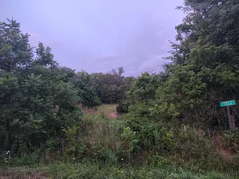 000 County Road 150, Preston, MO 65732 photo 3