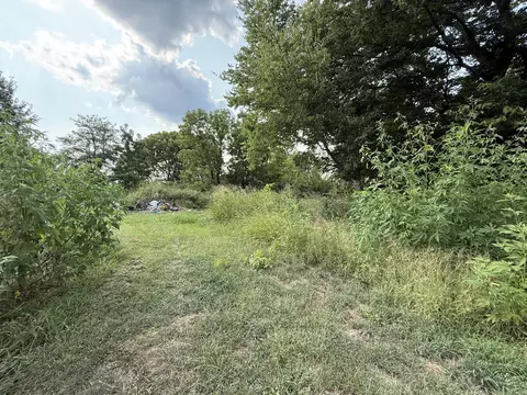 925 County Road 6140, Dora, MO 65637 photo 3