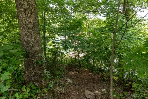 View/Area - 377 Us-63, Mammoth Spring, AR 72554 photo 4 of 4