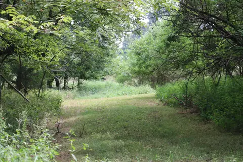 Tract 3 N Farm Road 53, Walnut Grove, MO 65770 photo 16