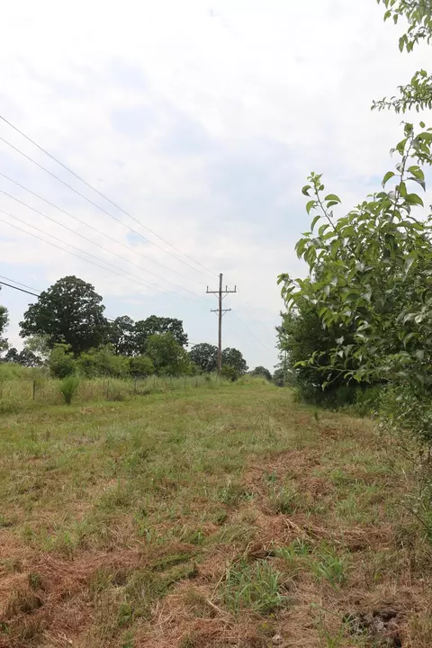 Tract 3 N Farm Road 53, Walnut Grove, MO 65770 photo 17