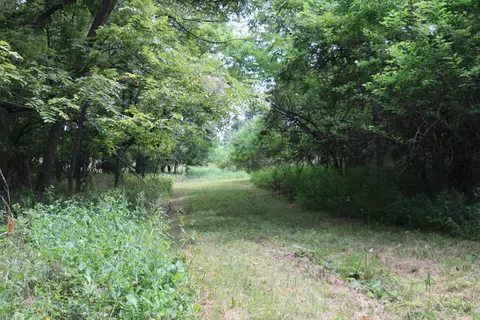 Tract 3 N Farm Road 53, Walnut Grove, MO 65770 photo 15