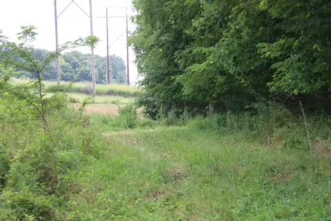 Tract 3 N Farm Road 53, Walnut Grove, MO 65770 photo 14