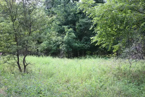 Tract 3 N Farm Road 53, Walnut Grove, MO 65770 photo 18