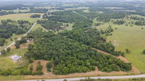 Tract 3 N Farm Road 53, Walnut Grove, MO 65770 photo 2