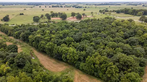 Tract 3 N Farm Road 53, Walnut Grove, MO 65770 photo 9