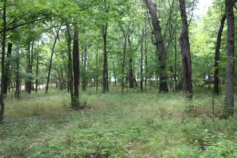 Tract 3 N Farm Road 53, Walnut Grove, MO 65770 photo 21