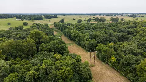 Tract 3 N Farm Road 53, Walnut Grove, MO 65770 photo 5