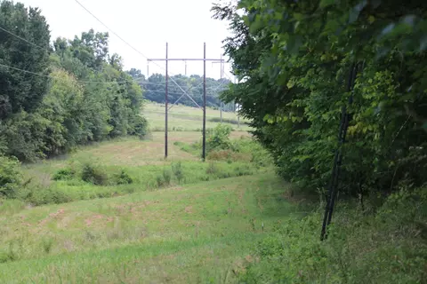Tract 3 N Farm Road 53, Walnut Grove, MO 65770 photo 13