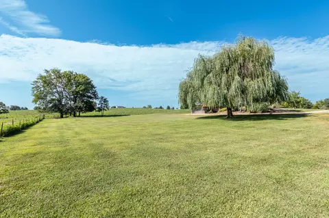 Exterior - 74 New Hope Rd, Buffalo, MO 65622 photo 8 of 24