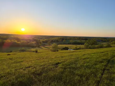 View/Area - Hcr 69 Box 100, Oldfield, MO 65720 photo 3 of 15