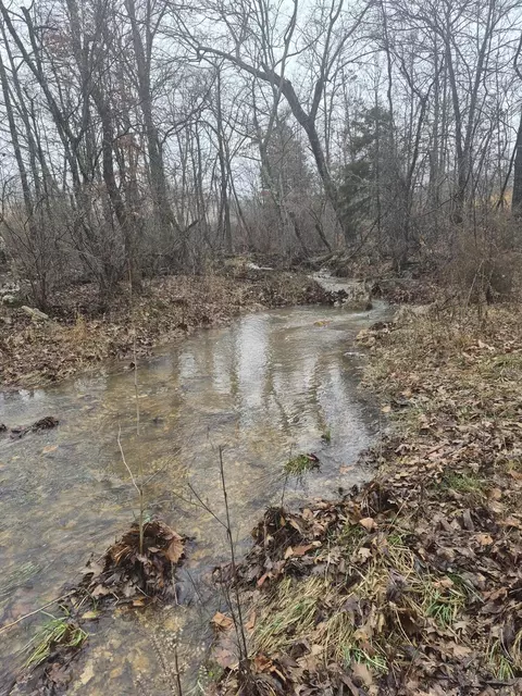 View/Area - Hcr 69 Box 100, Oldfield, MO 65720 photo 14 of 15