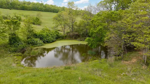 View/Area - Hcr 69 Box 100, Oldfield, MO 65720 photo 12 of 15