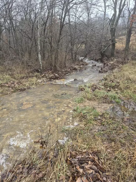 View/Area - Hcr 69 Box 100, Oldfield, MO 65720 photo 13 of 15