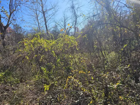 000 Spruce Ave, Merriam Woods, MO 65740