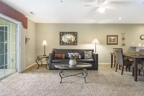 Living - 120 Spring Creek Ct #23, Branson, MO 65616 photo 1 of 5