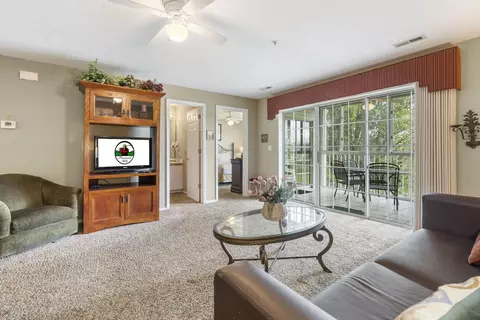Living - 120 Spring Creek Ct #23, Branson, MO 65616 photo 3 of 5