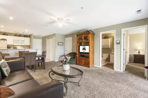 Living - 120 Spring Creek Ct #23, Branson, MO 65616 photo 4 of 5