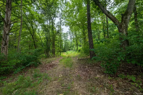 Rt 3 Box 240-4, Ava, MO 65608 photo 47