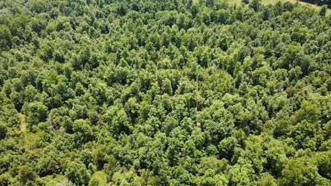 000 County Road 434, Birch Tree, MO 65438 photo 3