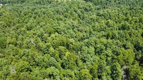 000 County Road 434, Birch Tree, MO 65438 photo 2