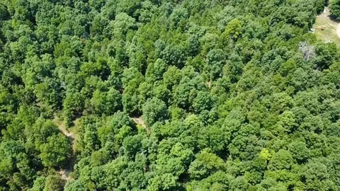 000 County Road 434, Birch Tree, MO 65438 photo 4
