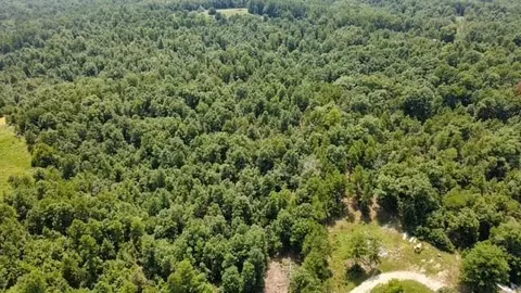 000 County Road 434, Birch Tree, MO 65438 photo 5