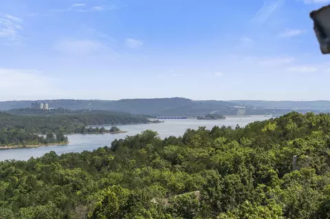 View/Area - 4 Treehouse Ln #7, Branson, MO 65616 photo 12 of 17